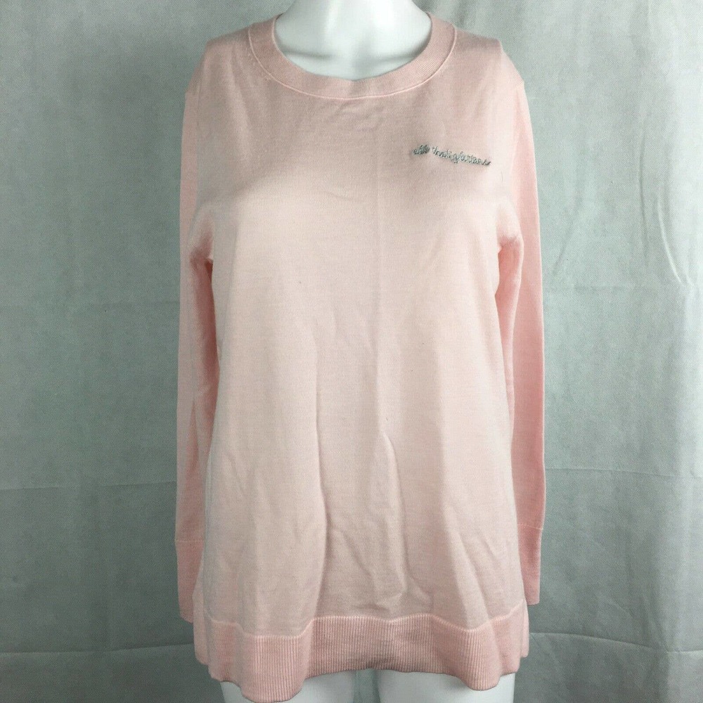 NWT Banana Republic Sweater Womens Sz S Pink All That Glitter Merino Wool Top